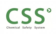 Logo CSS-2